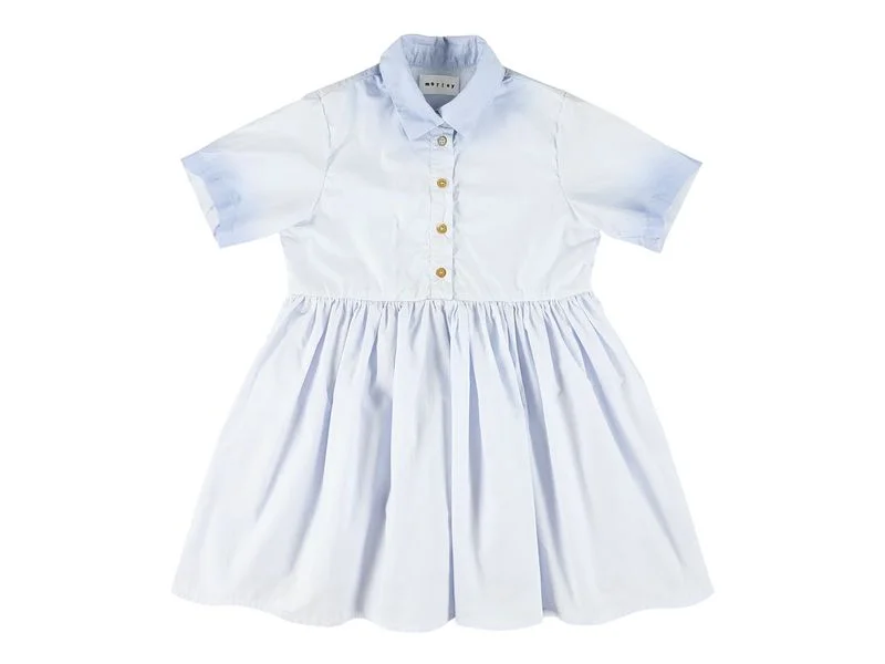 Blue Winnie Button Long Dress Tunics Stylish elegant